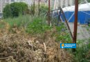 «Старт» у бур'яні та смітті