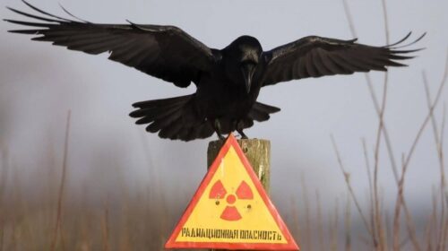радіація