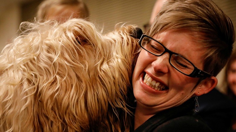 У Нью-Йорку в 142-те відбулася найстаріша виставка собак у світі - Westminster Kennel Club