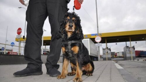 Набридли. ЄС припиняє давати гроші на модернізацію кордону з Україною