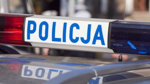 У Польщі в річці потонули брати-близнюки з України