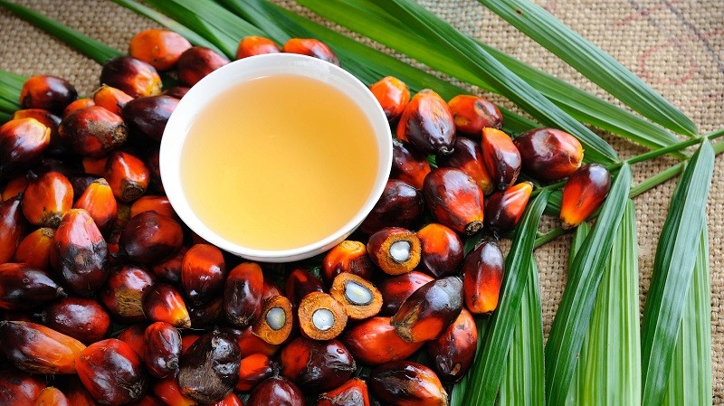 В Україні заборонять використовувати пальмову олію у харчовій промисловості