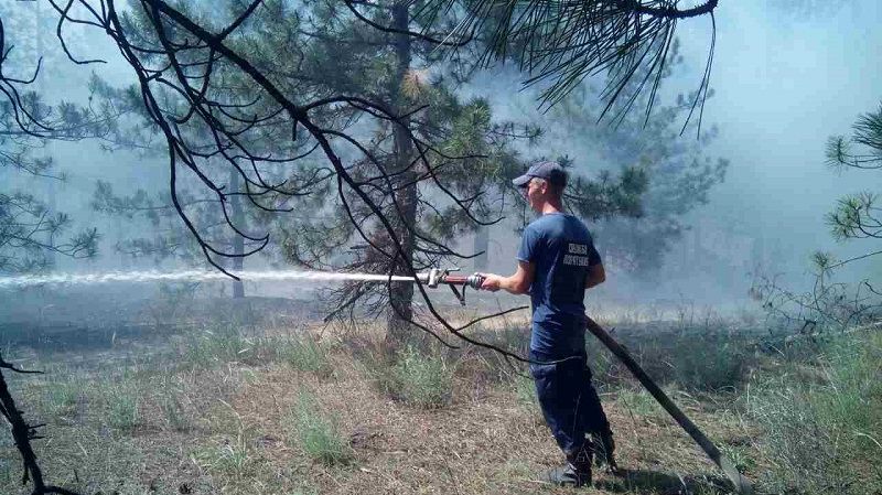 На Херсонщині вирує лісова пожежа