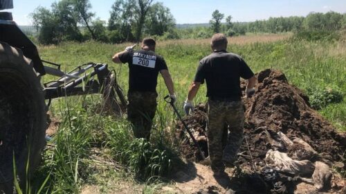 На фермі під Дніпром відкопують речі загиблих під Іловайськом бійців