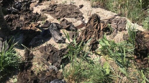 На фермі під Дніпром відкопують речі загиблих під Іловайськом бійців
