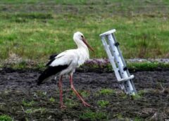 Коли закінчиться війна в Україні? Астрологиня здивувала прогнозом