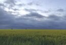 На Україну насувається атмосферний фронт – прогноз синоптика