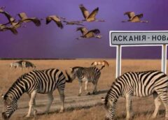 Загарбники знищили Кінбурнську косу та “Асканію-Нову”