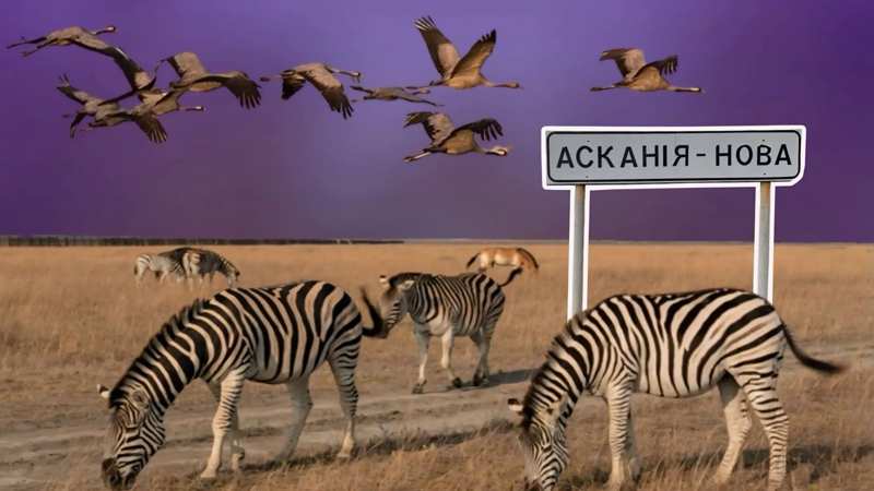 Загарбники знищили Кінбурнську косу та “Асканію-Нову”