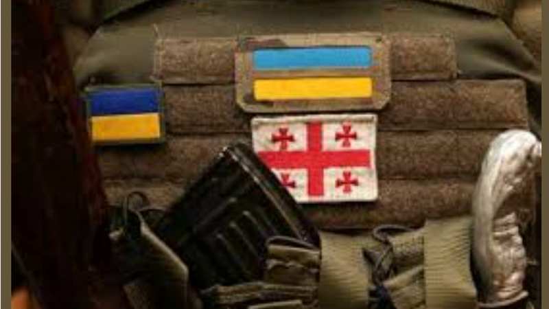 Манана Абашидзе: “Нашим завданням залишається перемогти в національно-визвольній війні одвічного ворога московита”