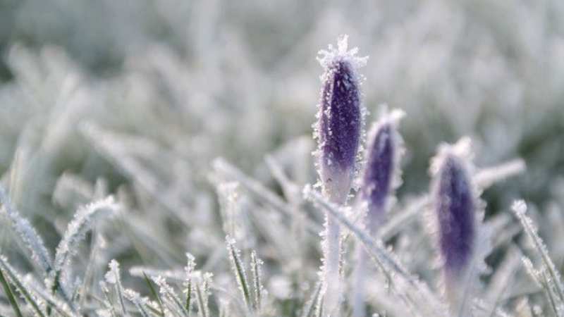 Україну накриє арктичний холод: синоптики попередили про сніг і “мінуси” у квітні
