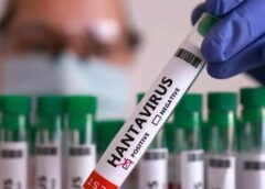 Хантавірус. У Польщі вперше запровадили карантин через загрозу епідемії