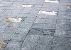 Із “Алеї зірок” у центрі Києва прибрали імена Потапа і Насті Каменських